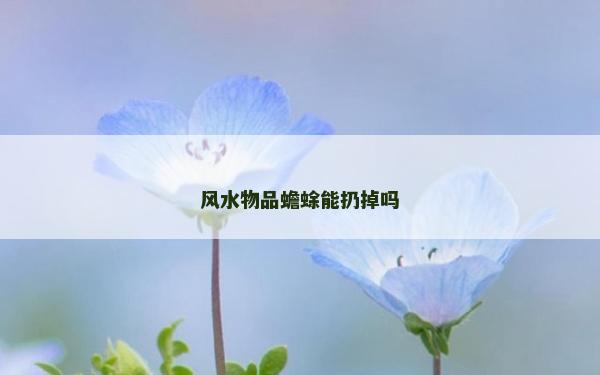 风水物品蟾蜍能扔掉吗