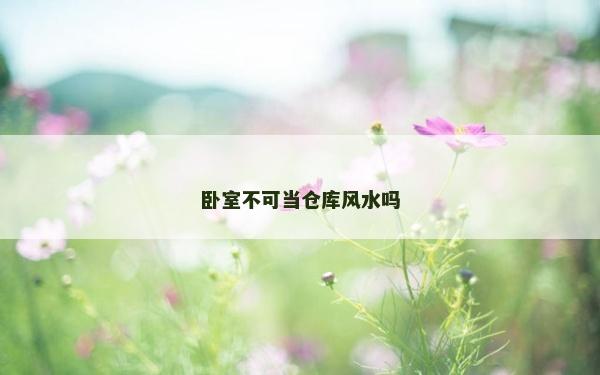 卧室不可当仓库风水吗