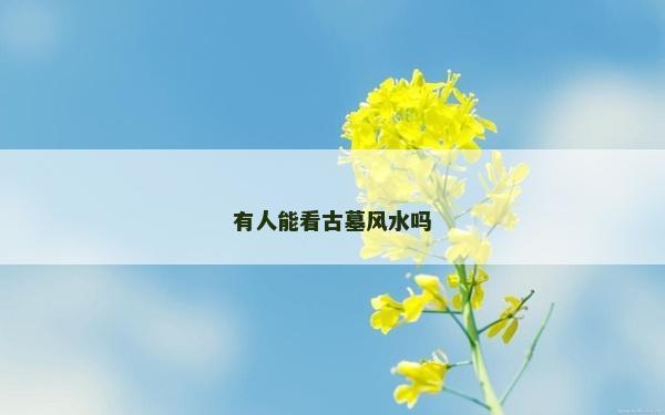 有人能看古墓风水吗