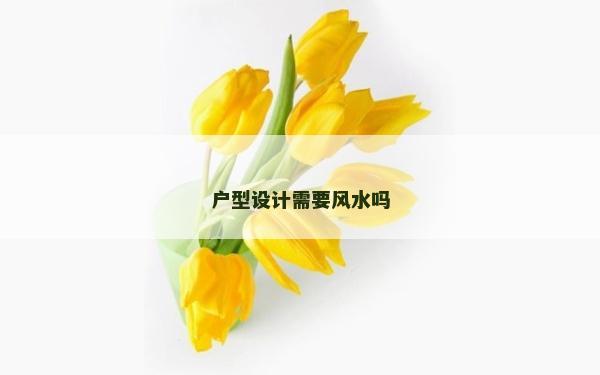 户型设计需要风水吗