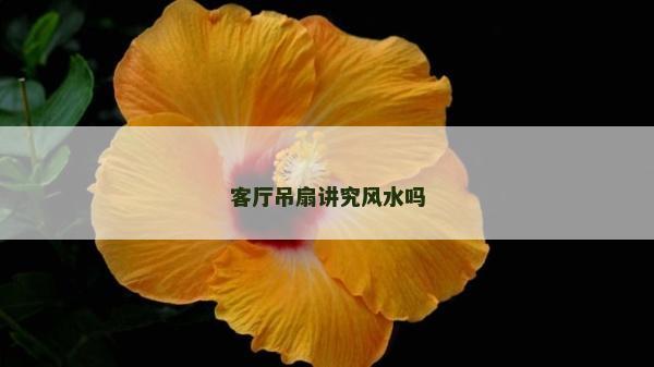 客厅吊扇讲究风水吗