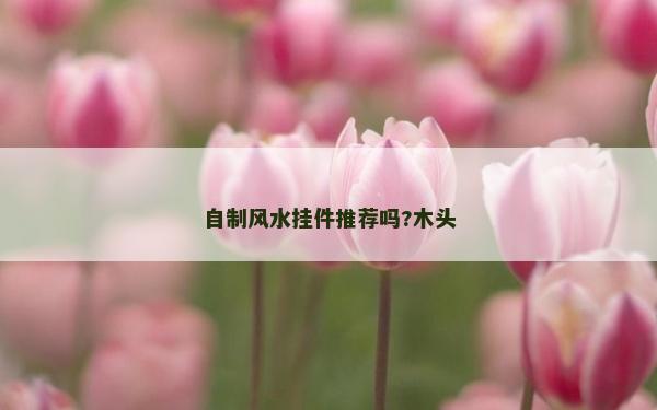 自制风水挂件推荐吗?木头