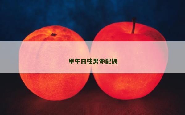 甲午日柱男命配偶