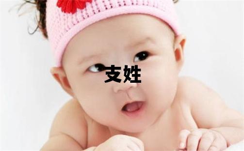 支姓有涵养的女宝宝名字