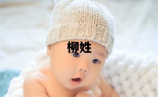 柳姓独特优美的男孩名字