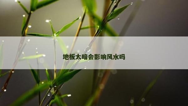 地板太暗会影响风水吗
