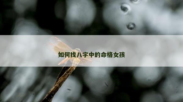 如何找八字中的命格女孩