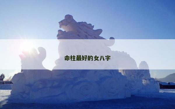 命柱最好的女八字