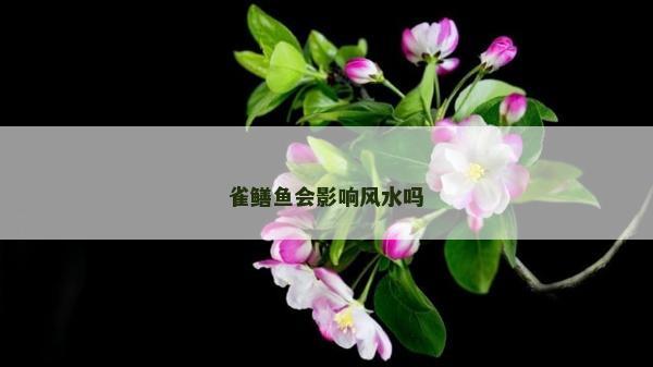 雀鳝鱼会影响风水吗
