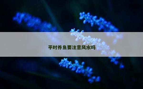 平时养鱼要注意风水吗