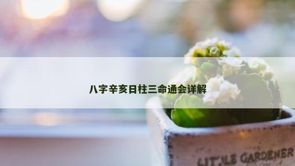八字辛亥日柱三命通会详解