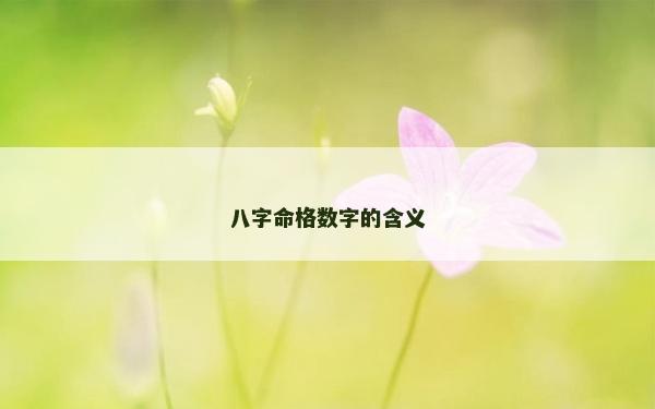 八字命格数字的含义