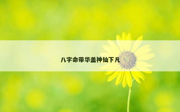 八字命带华盖神仙下凡