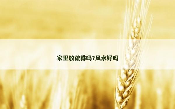 家里放貔貅吗?风水好吗