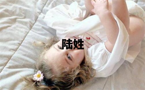 陆姓洋气的女孩名字,取什么名字好