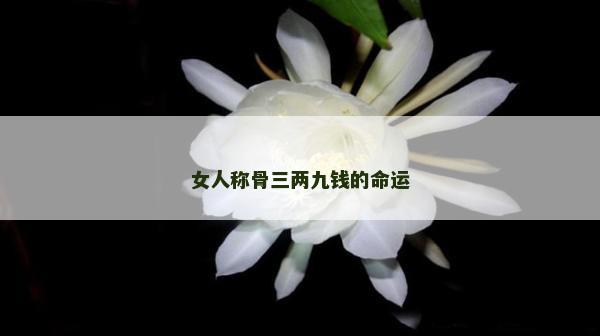 女人称骨三两九钱的命运