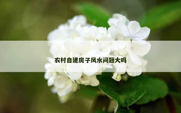 农村自建房子风水问题大吗