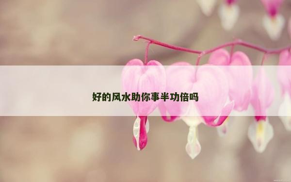 好的风水助你事半功倍吗
