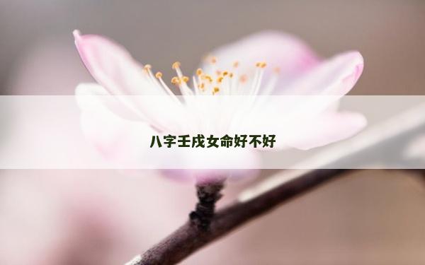 八字壬戌女命好不好