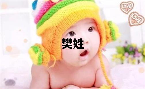 樊姓朗朗上口的男宝宝名字