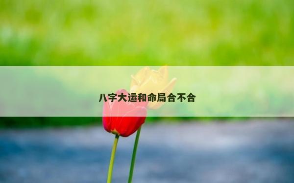 八字大运和命局合不合