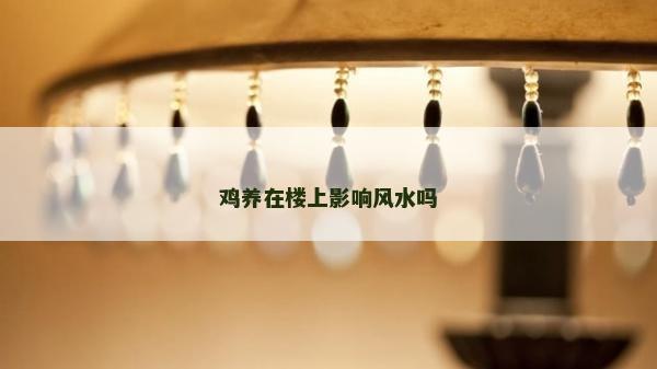 鸡养在楼上影响风水吗