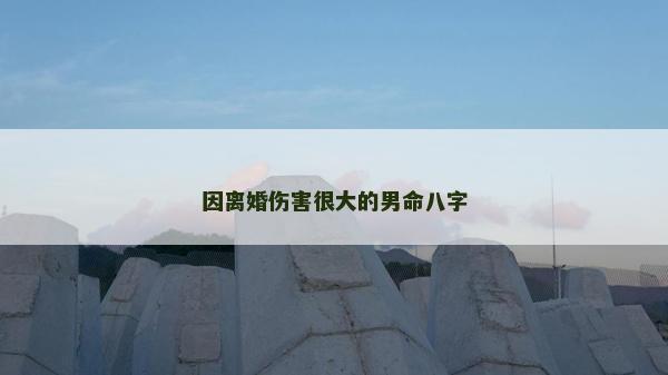 因离婚伤害很大的男命八字