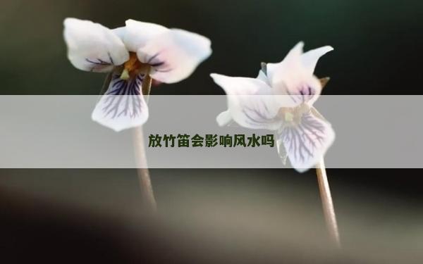 放竹笛会影响风水吗