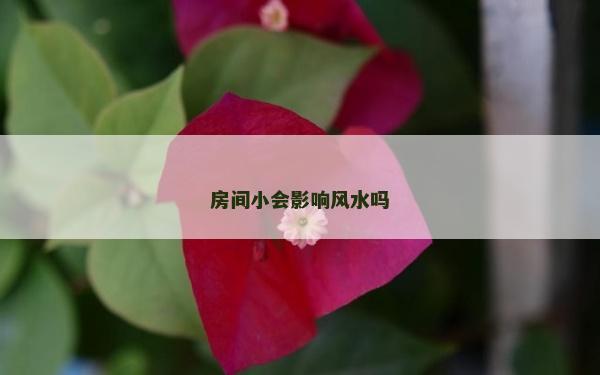 房间小会影响风水吗
