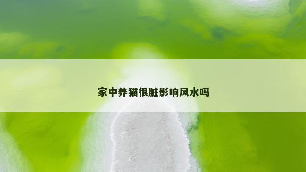 家中养猫很脏影响风水吗