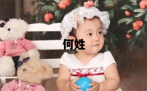 何姓优美大方的男孩名字,取什么名字好