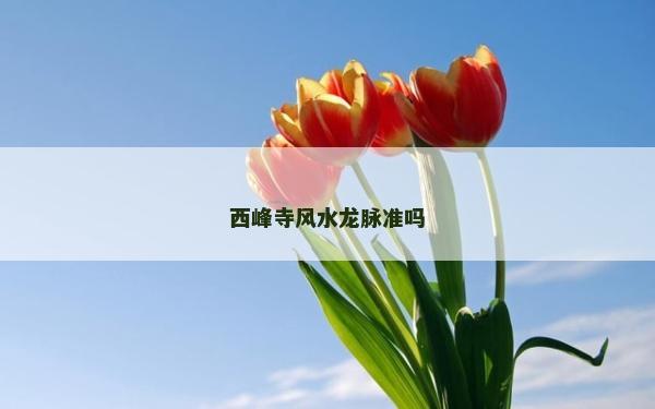 西峰寺风水龙脉准吗