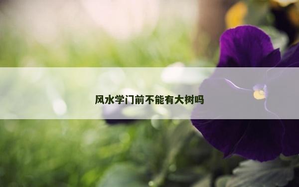 风水学门前不能有大树吗
