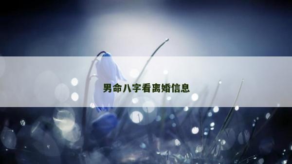 男命八字看离婚信息
