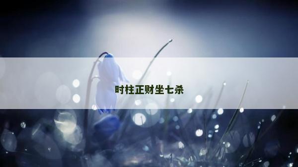 时柱正财坐七杀