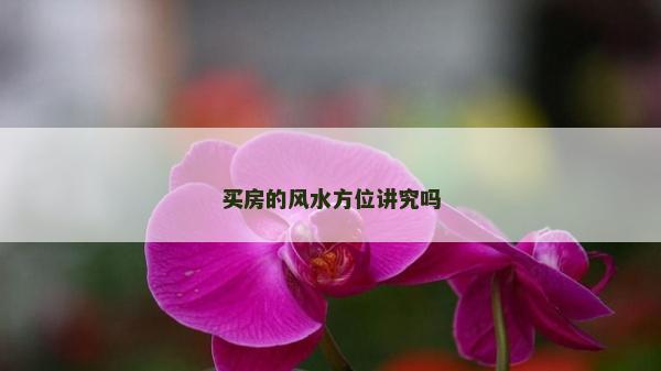 买房的风水方位讲究吗