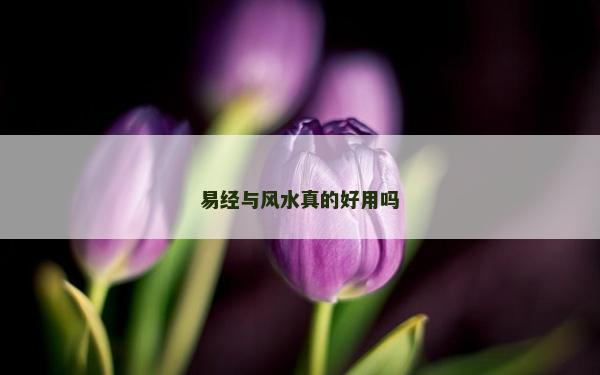 易经与风水真的好用吗