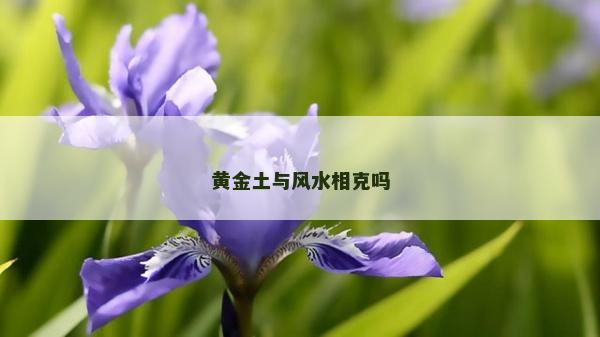 黄金土与风水相克吗