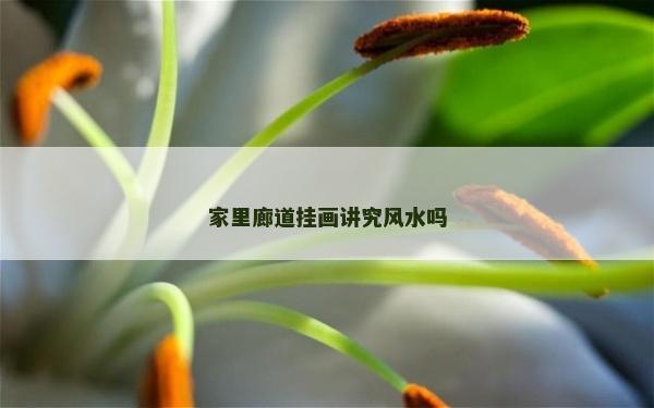 家里廊道挂画讲究风水吗