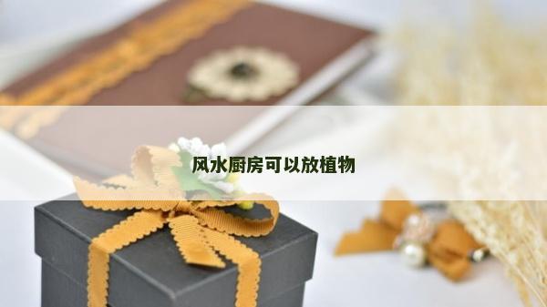 风水厨房可以放植物