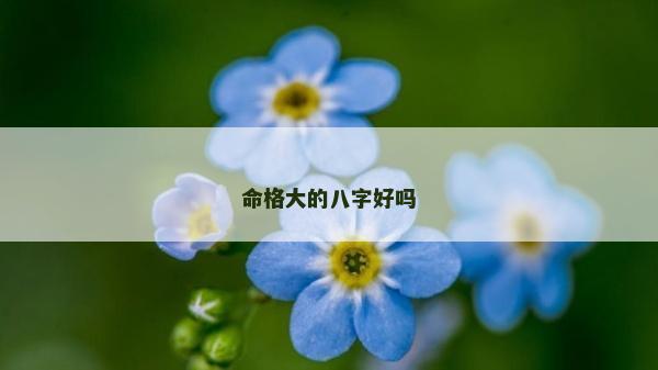 命格大的八字好吗