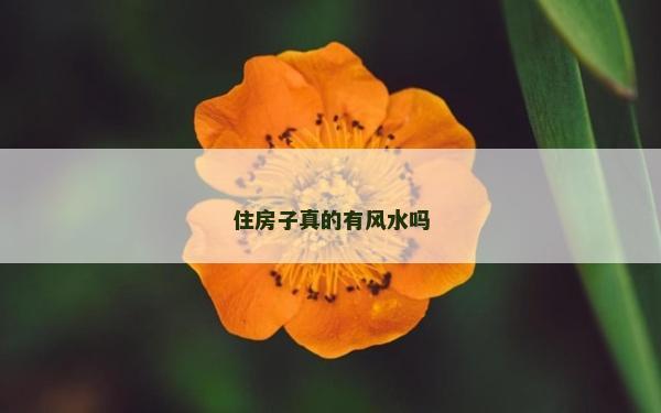 住房子真的有风水吗