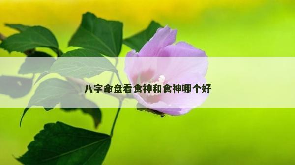 八字命盘看食神和食神哪个好