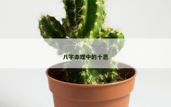 八字命理中的十恶