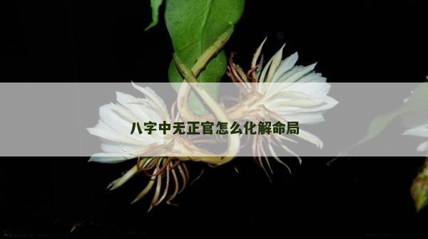 八字中无正官怎么化解命局