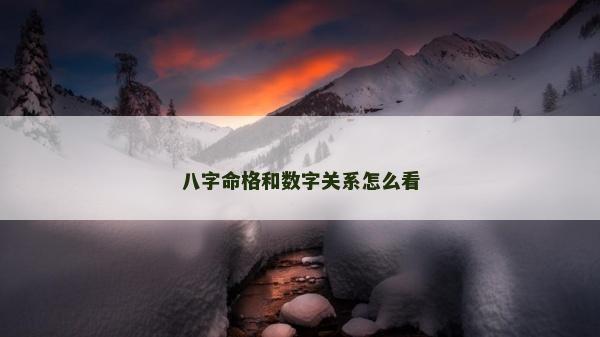 八字命格和数字关系怎么看