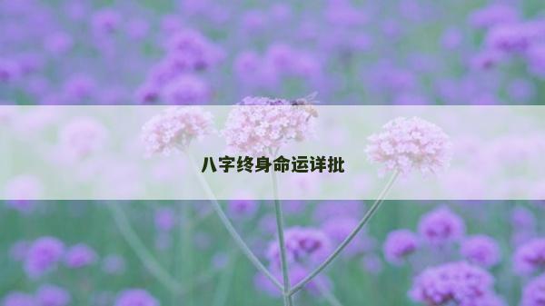 八字终身命运详批