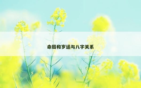 命局和岁运与八字关系