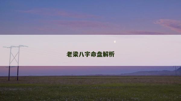 老梁八字命盘解析