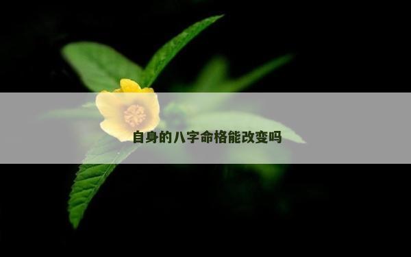 自身的八字命格能改变吗